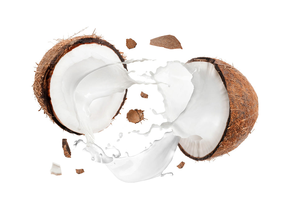 organic coconut milk